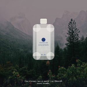 N°29 · Boisé Floral Solaire