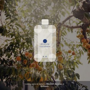 N°35 · Fruité Élégant