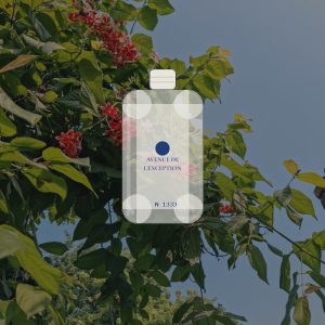 N°1333 · Boisé Fruité Floral